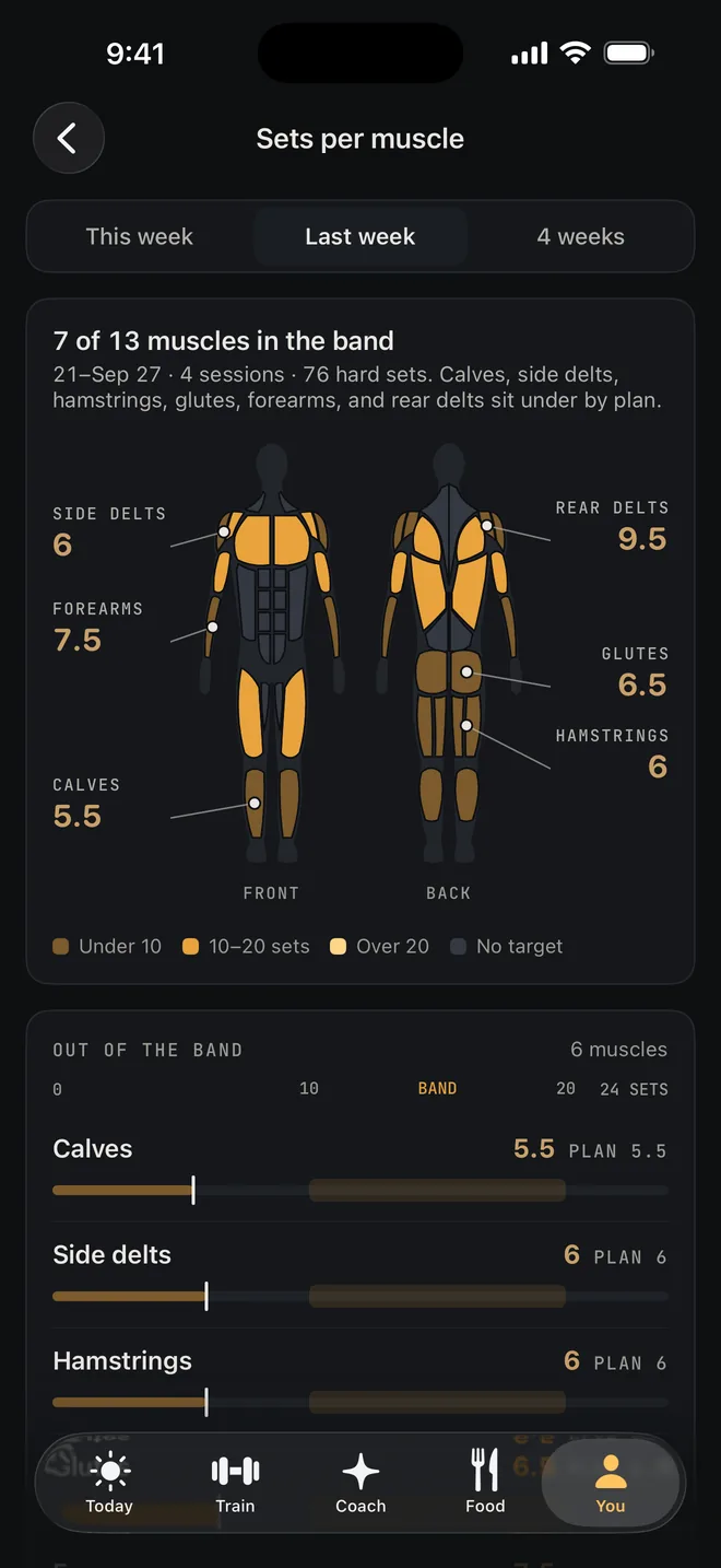 Sets per muscle: a front and back body map with sets for each muscle
